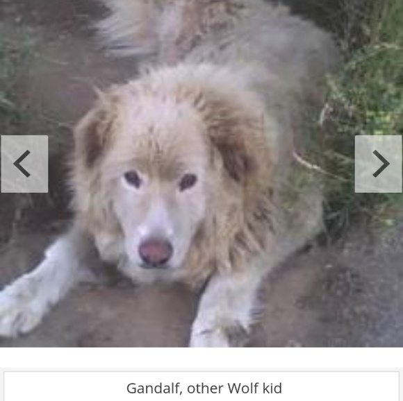 Meet your Posher, Brenda - Picture 8 of 13